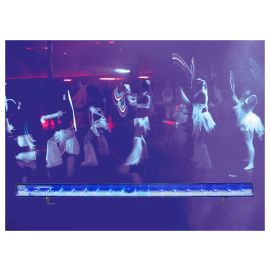 American DJ Eco UV Bar LED DMX