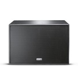 FBT SUBLine 218SA Processed Active Subwoofer