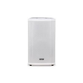 FBT Ventis 112 2-Way Passive Speaker - White